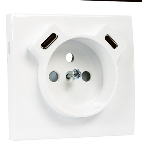 Cover Plate for Earth Socket French + USB C+C